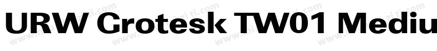 URW Grotesk TW01 Medium XWide字体转换